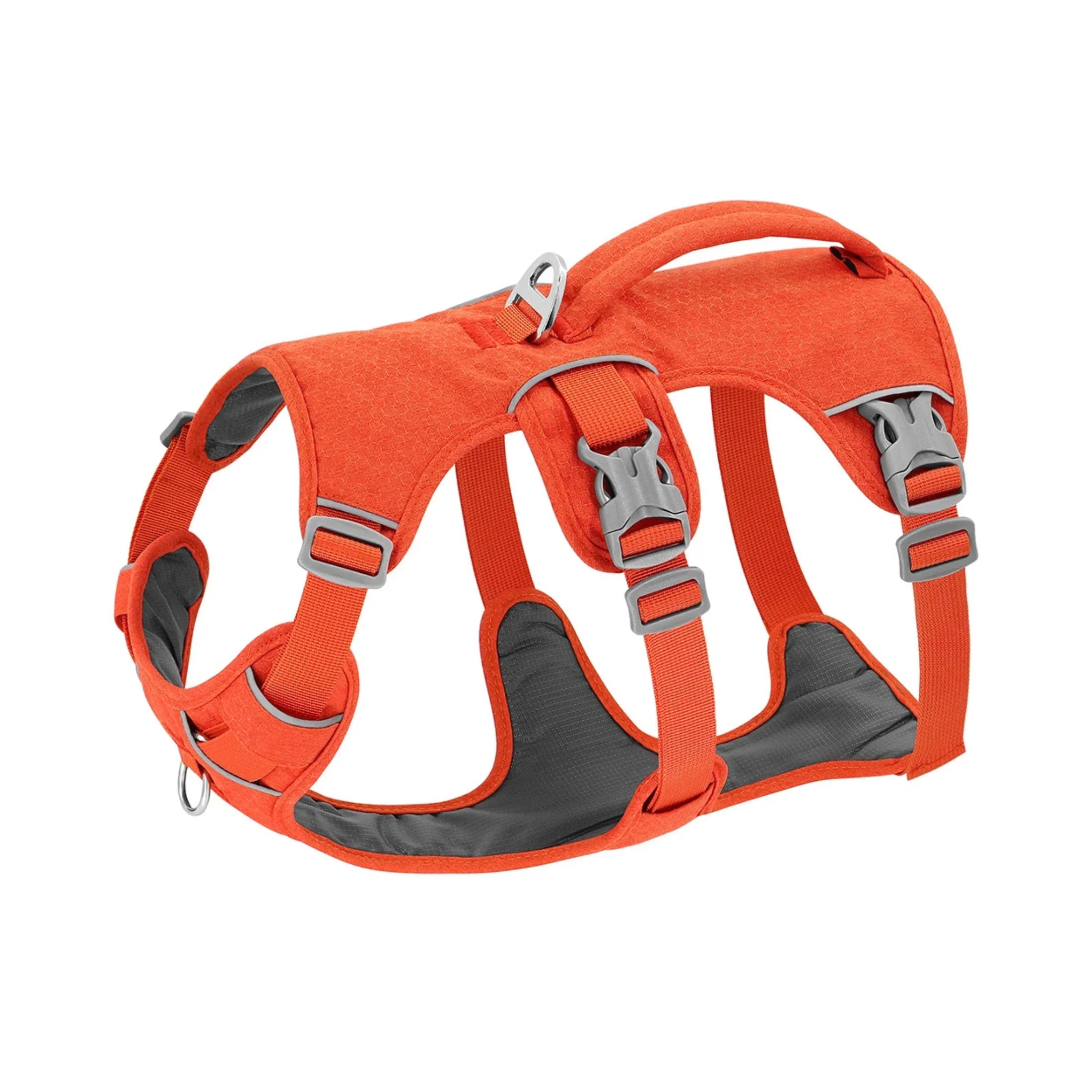 Secure Fit Dog Harness