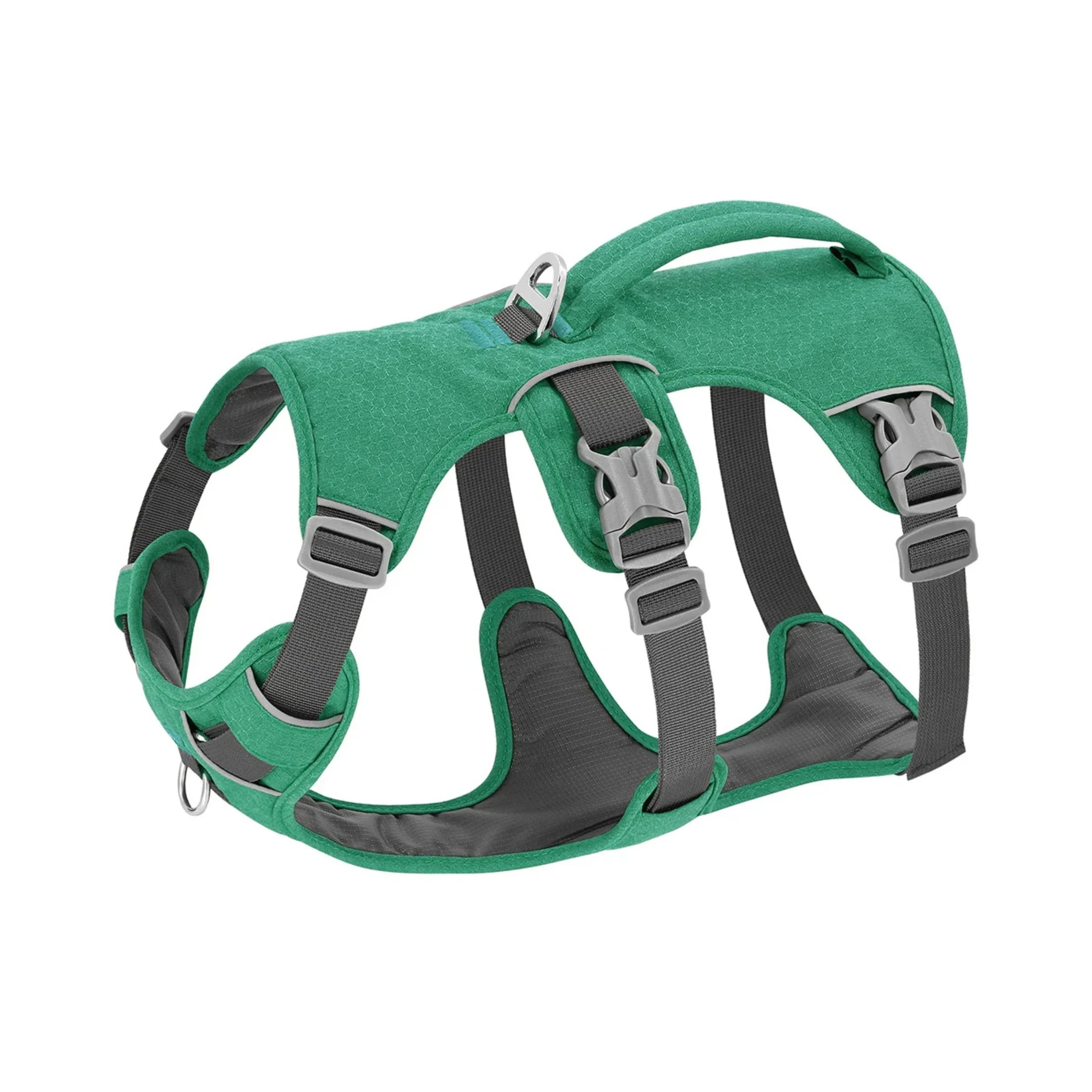 Secure Fit Dog Harness