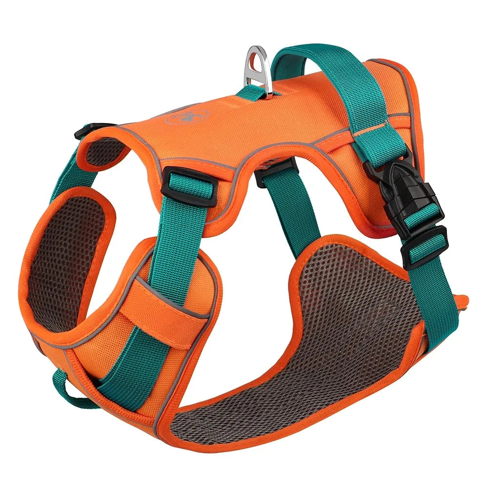 Sure Fit Harness