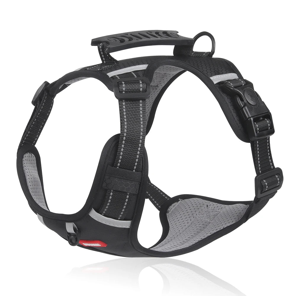 Adjustable Reflective Harness