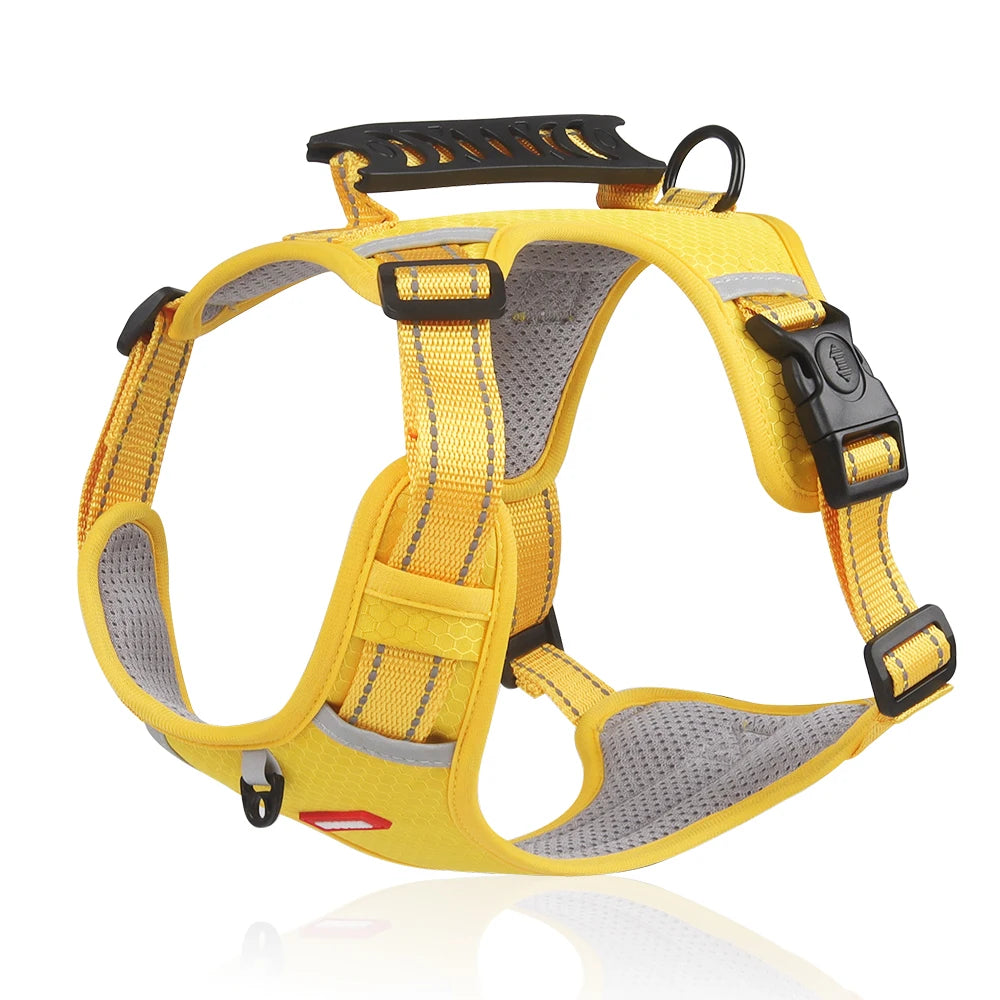 Adjustable Reflective Harness