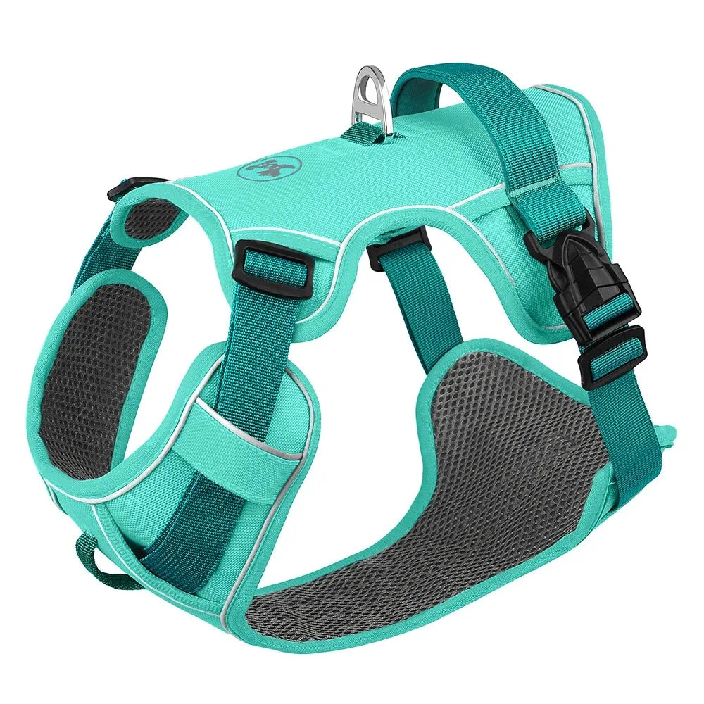 Sure Fit Harness