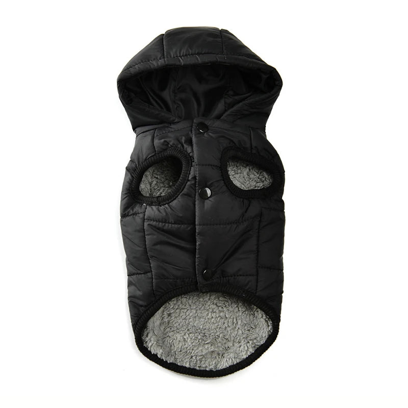 Cosy Winter Jacket