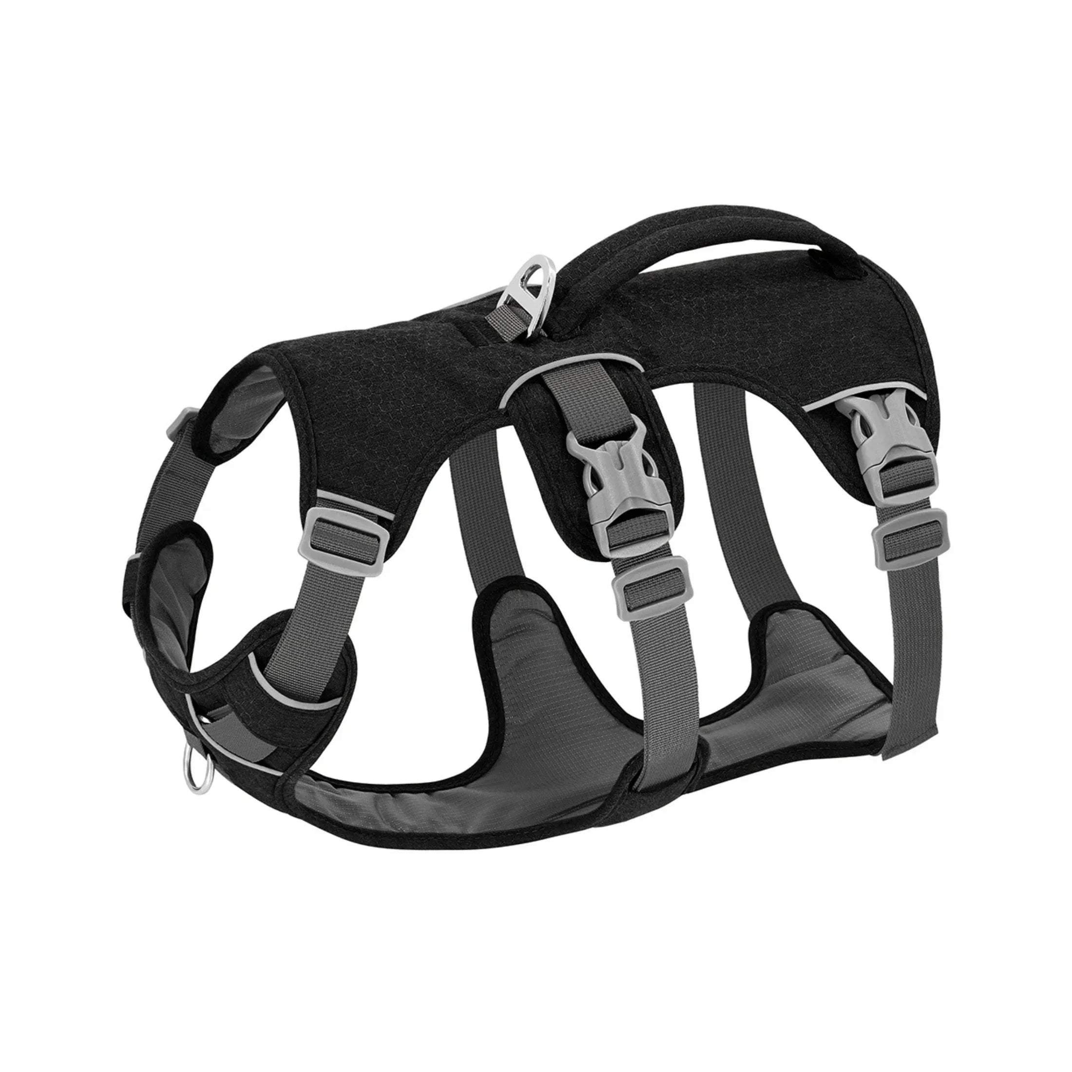 Secure Fit Dog Harness
