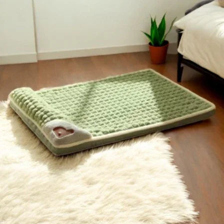 Orthopaedic Bed