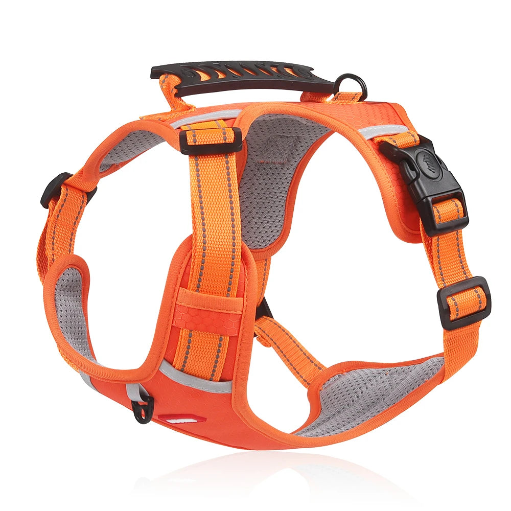 Adjustable Reflective Harness