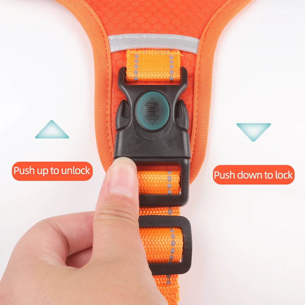 Adjustable Reflective Harness