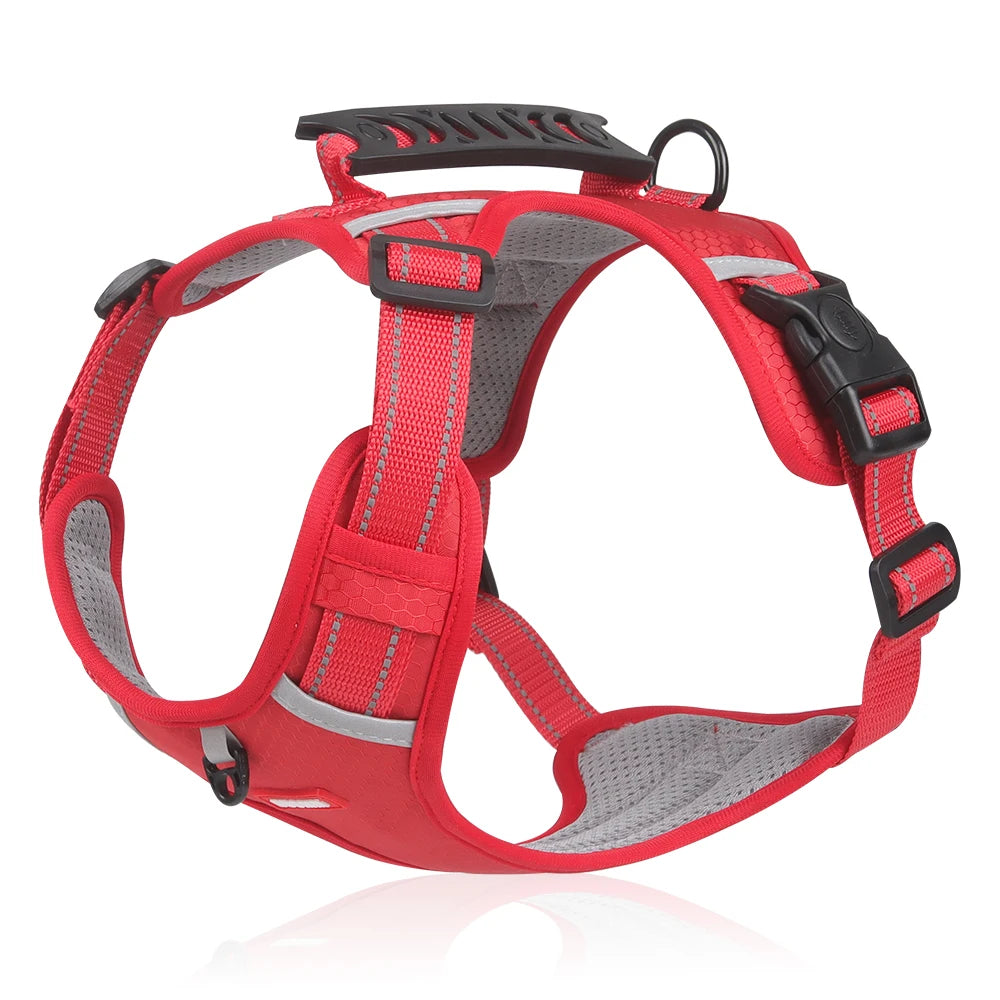 Adjustable Reflective Harness