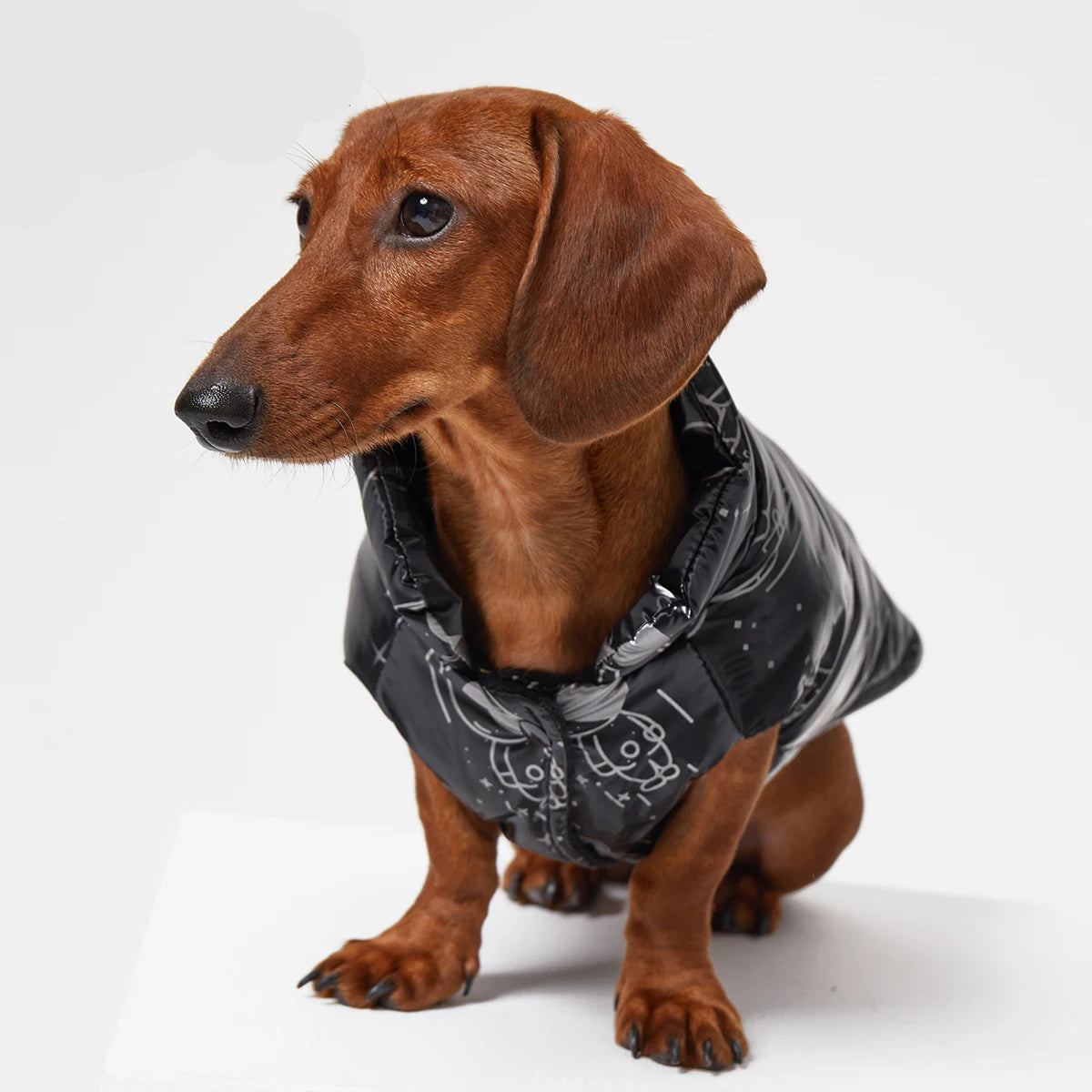 Warm Puffer Jacket