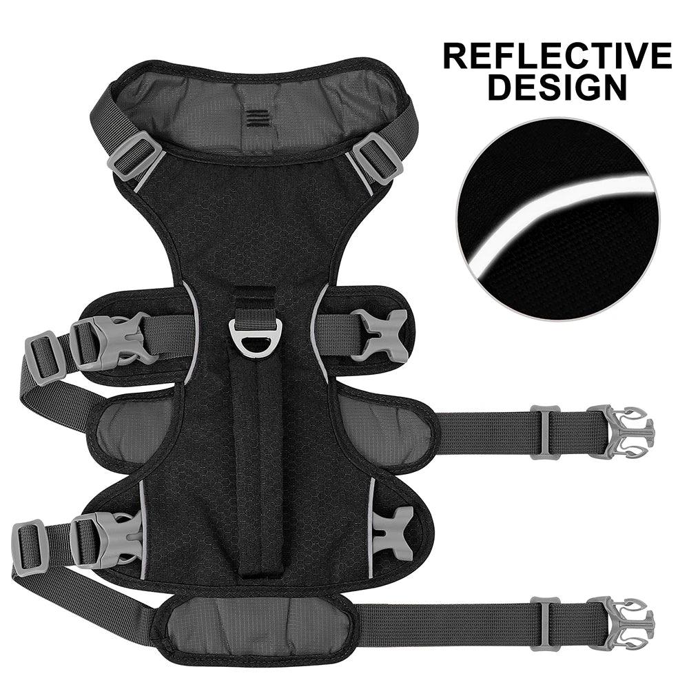 Secure Fit Dog Harness