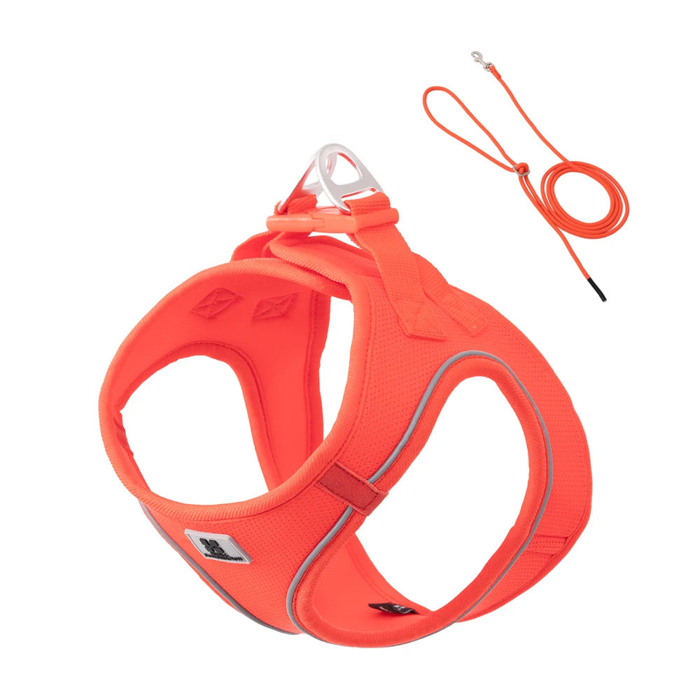 Soft Mesh Harness & Lead