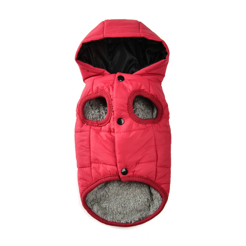 Cosy Winter Jacket